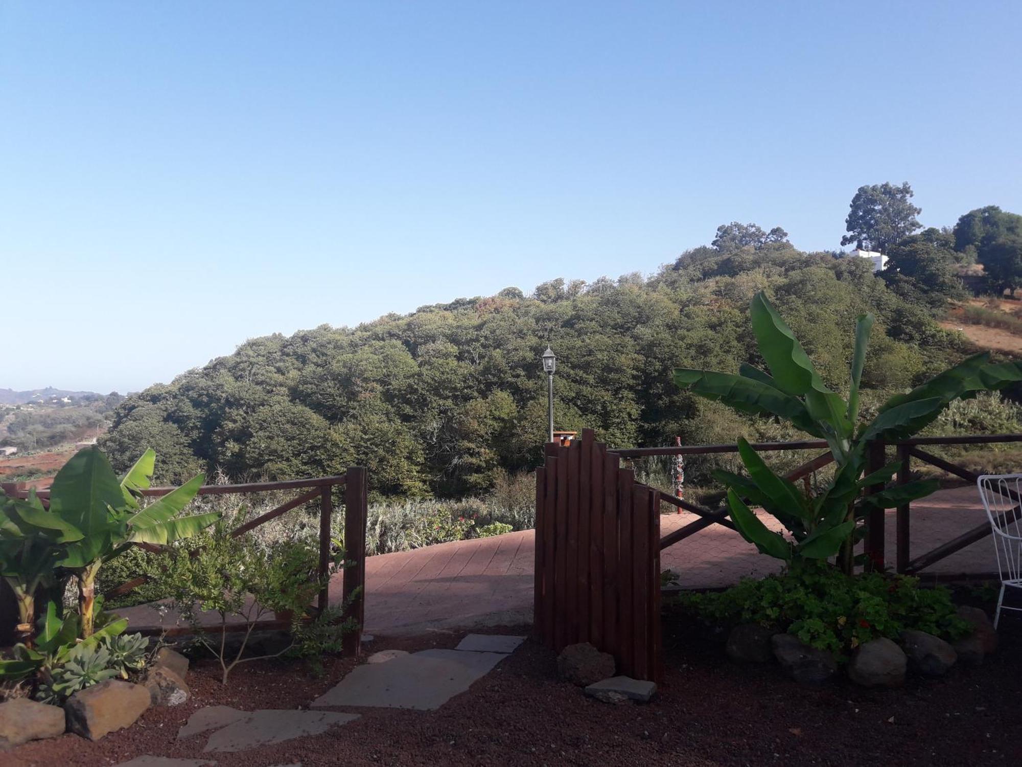 Finca Naturacanaria Moya  Ngoại thất bức ảnh