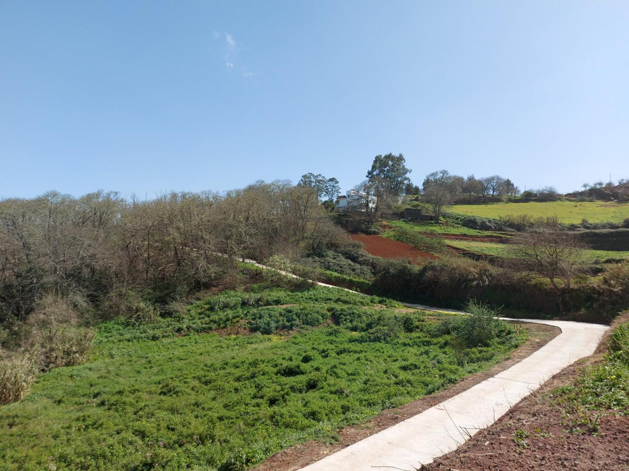 Finca Naturacanaria Moya  Ngoại thất bức ảnh