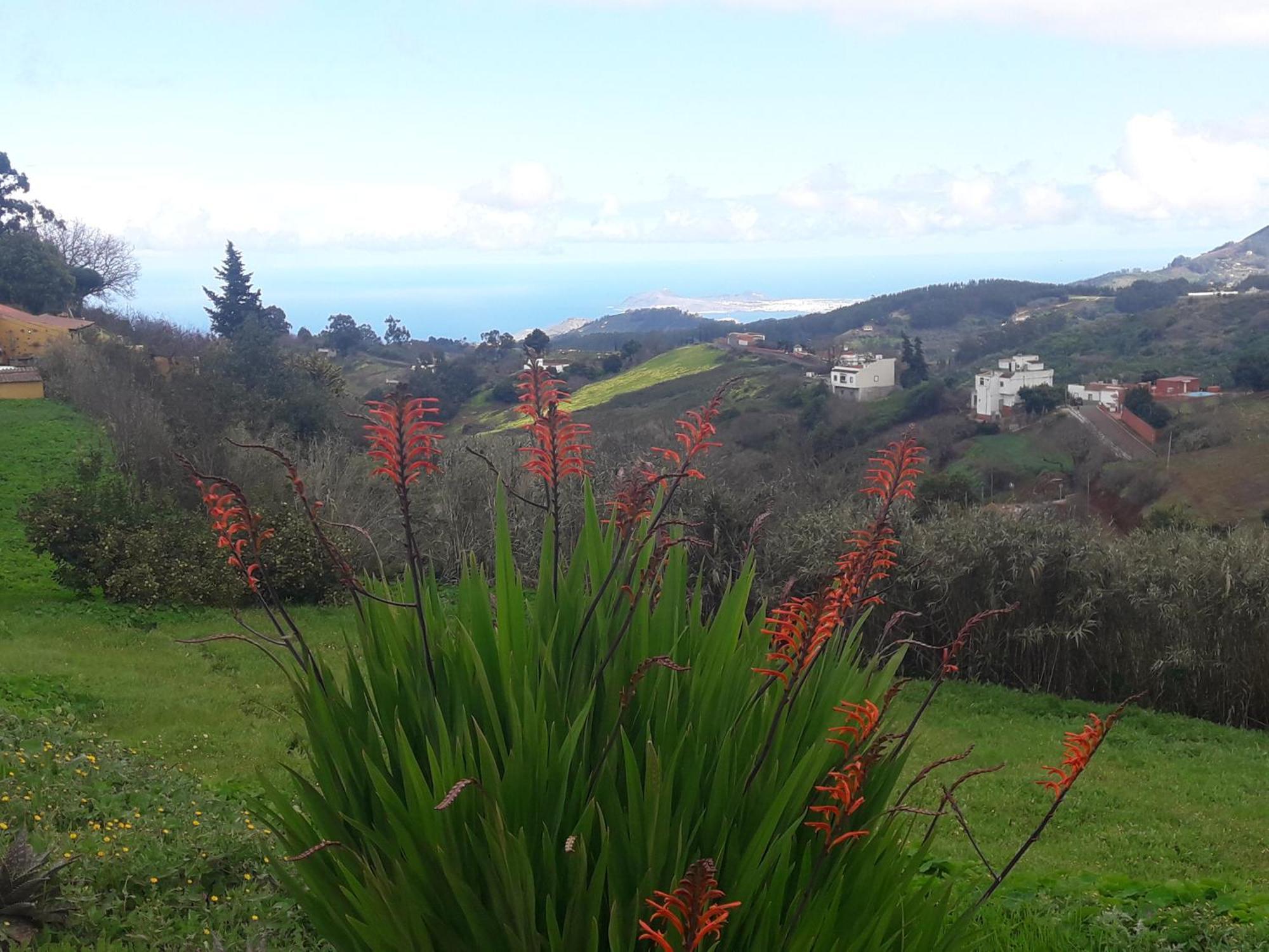 Finca Naturacanaria Moya  Ngoại thất bức ảnh