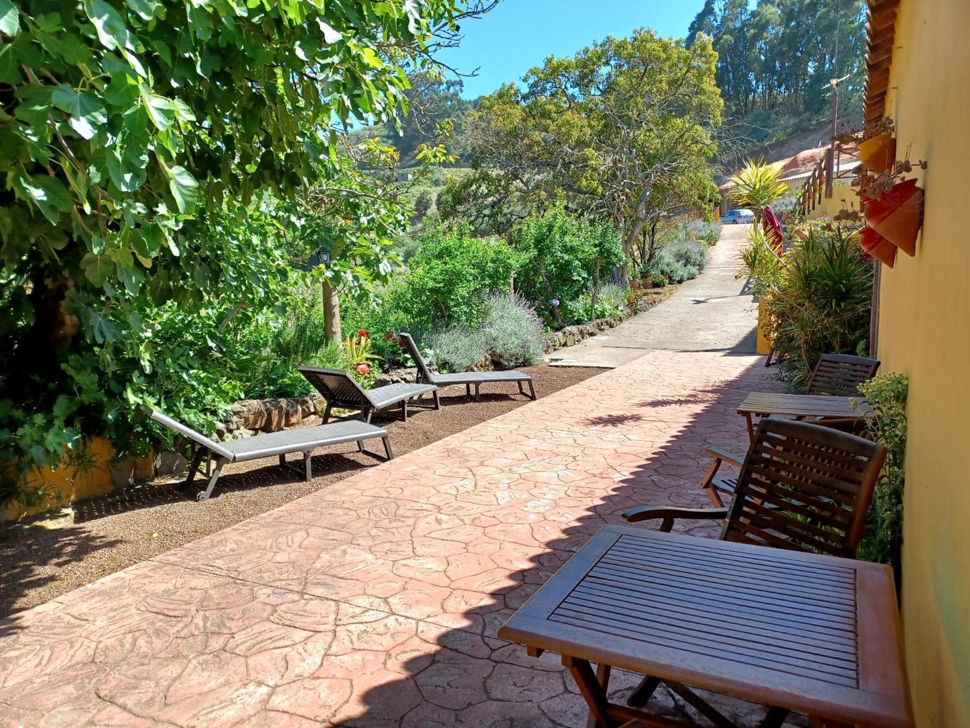 Finca Naturacanaria Moya  Ngoại thất bức ảnh