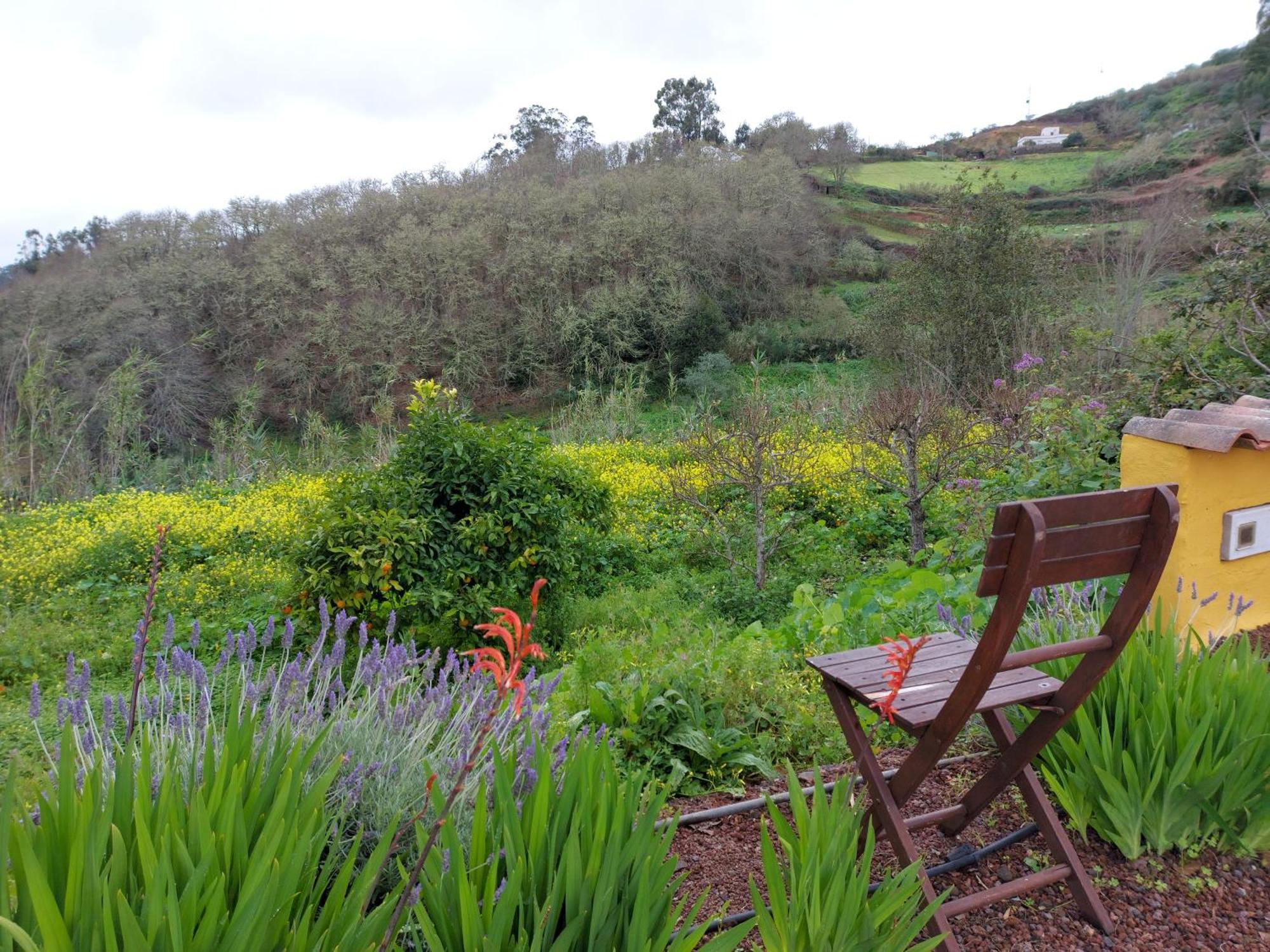 Finca Naturacanaria Moya  Ngoại thất bức ảnh