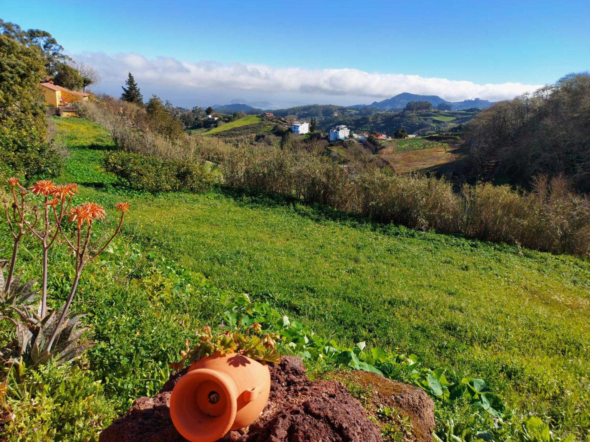 Finca Naturacanaria Moya  Ngoại thất bức ảnh