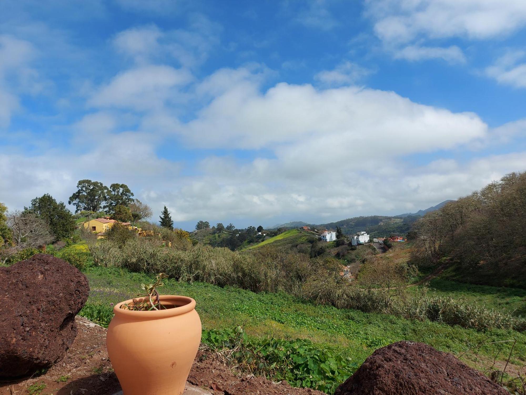 Finca Naturacanaria Moya  Ngoại thất bức ảnh
