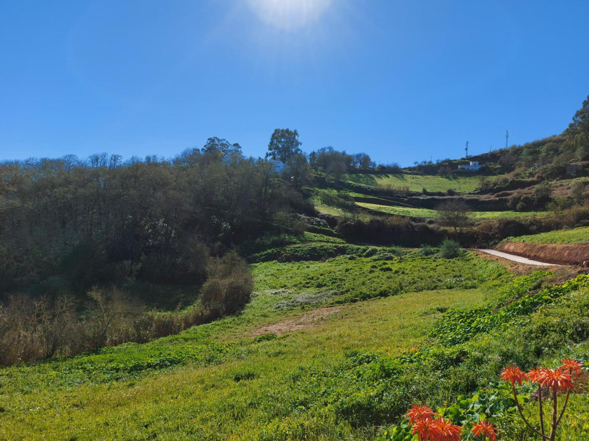 Finca Naturacanaria Moya  Ngoại thất bức ảnh