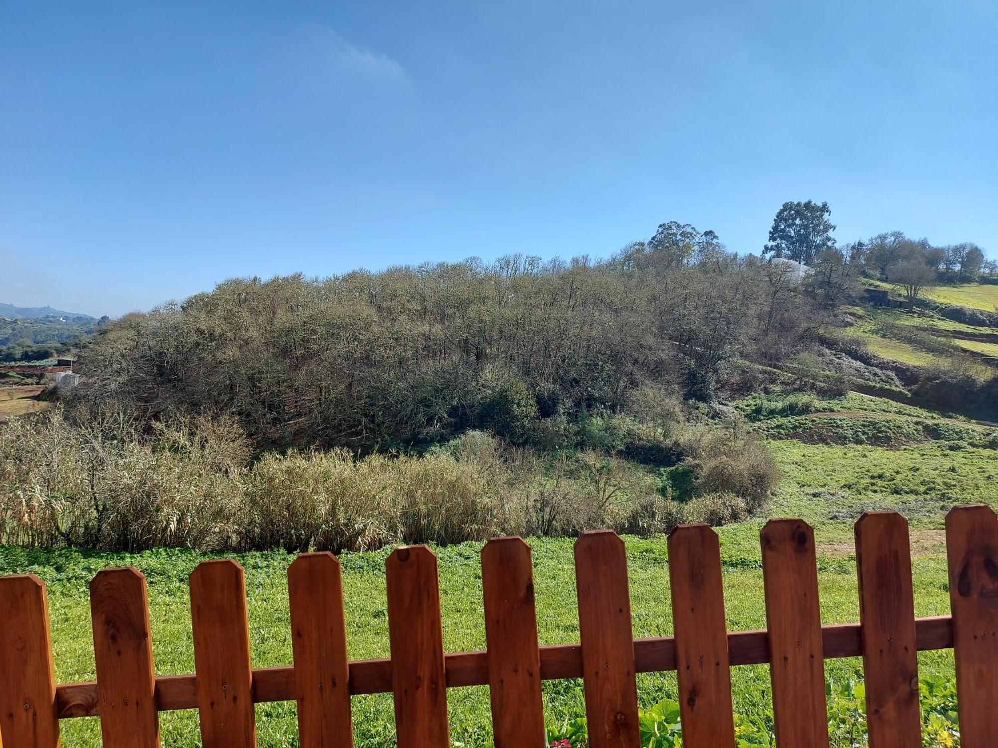 Finca Naturacanaria Moya  Ngoại thất bức ảnh