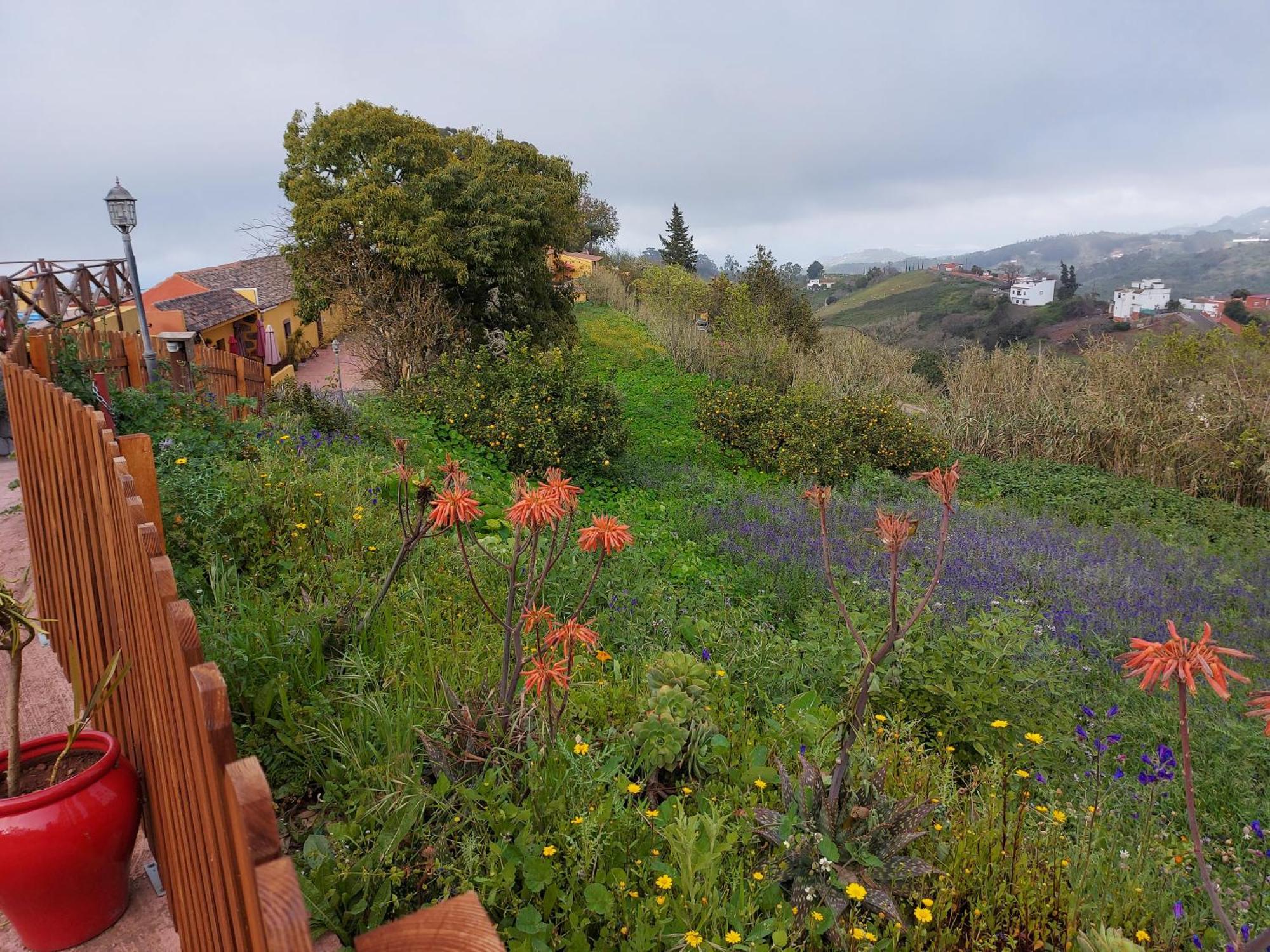Finca Naturacanaria Moya  Ngoại thất bức ảnh