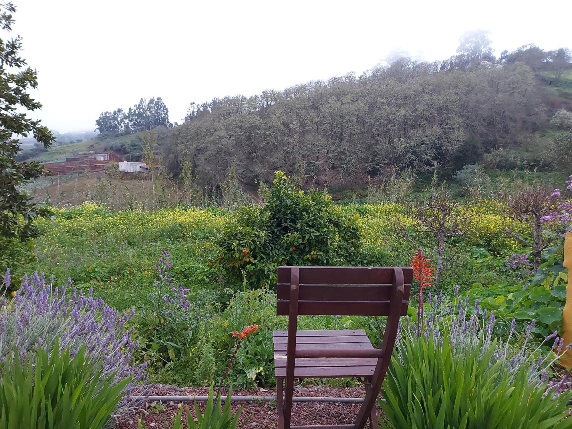Finca Naturacanaria Moya  Ngoại thất bức ảnh